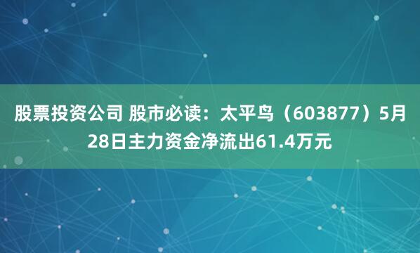 股票投资公司 股市必读：太平鸟（603877）5月28日主力资金净流出61.4万元