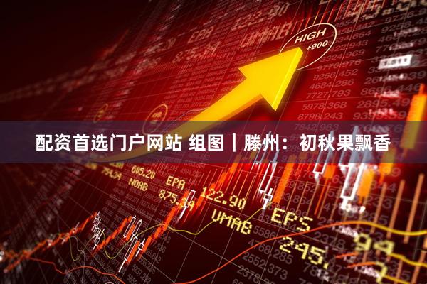 配资首选门户网站 组图｜滕州：初秋果飘香